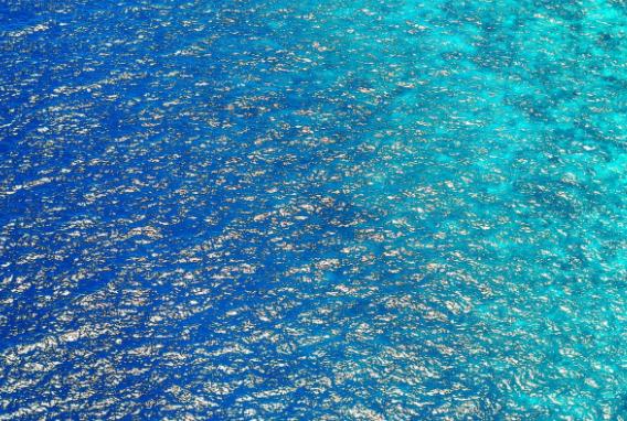 水为什么会被污染? 水为什么会被污染?